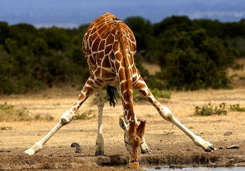 背が高いと困ること17