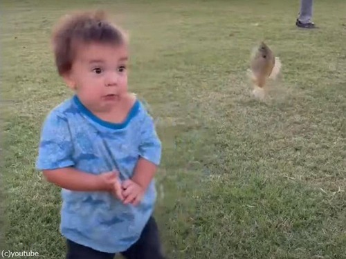 生まれて初めて釣れた魚をさわった男の子…表情が急変する（動画）