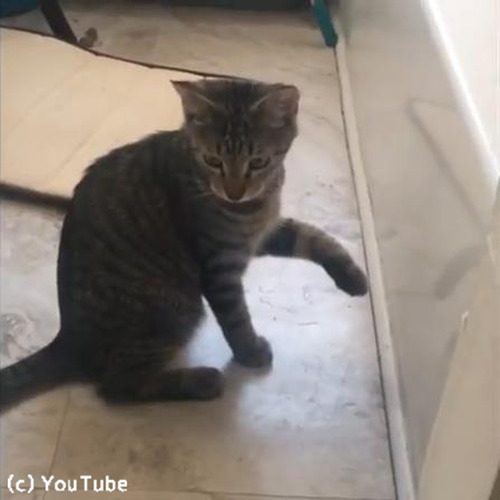�����ʤ�Ȣ�˼���֤�ǭ01