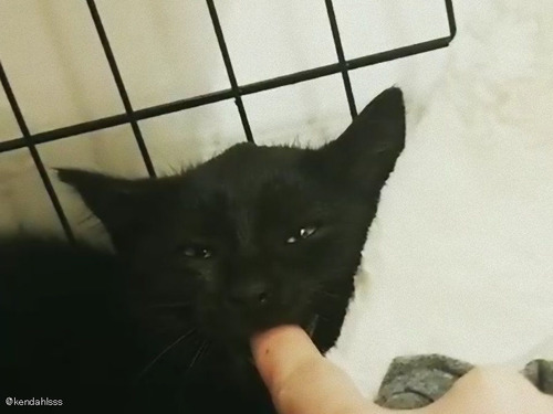 ���ܤ�λ�ǭ���ؤ򤯤廊��Ȥ��Ȥʤ����ʤ�00