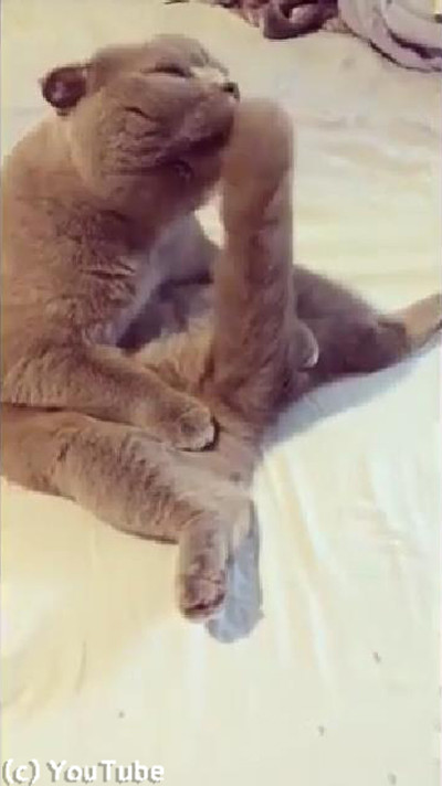 �ӤŤ��������Ƥ�ȿ������ԡ���Ȥ����㤦ǭ03