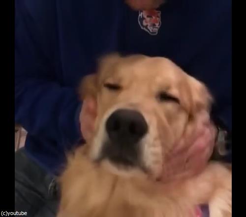マッサージ大好き犬05