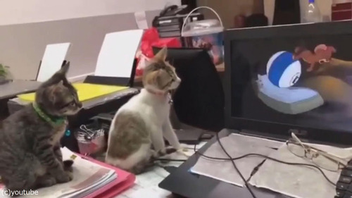 �ȥ�ȥ����꡼���ǭ2ɤ�˸����Ƥߤ���02