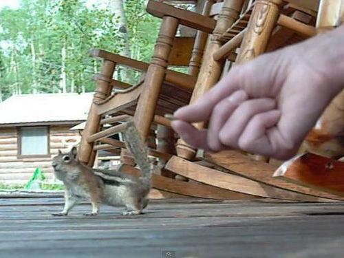 ����������Υꥹ01