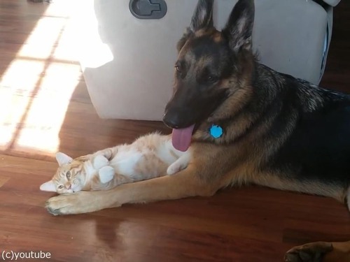 �礭���ϰ㤨�ɡĻ�ǭ�����ɤ��Υ����ѡ���05