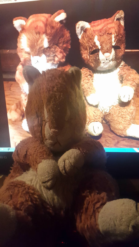 ���줫��̤�����ߤ���ä�03