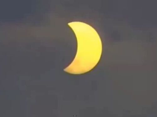 日食とニワトリ00