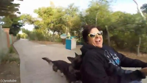 飼い主の車イスを押すジャーマンシェパード03