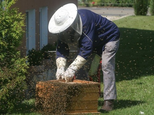 ��˪�Ȥˤʤꤿ��00