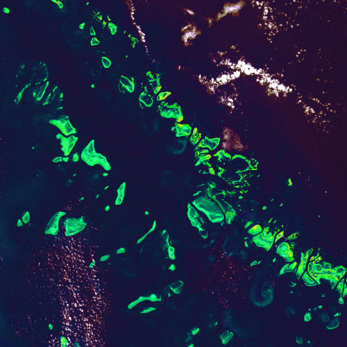 �����̿�10