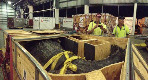 �������ȥ�ꥢ����Υ��ե�01