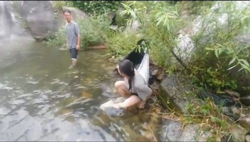 泳がせてくれない犬05