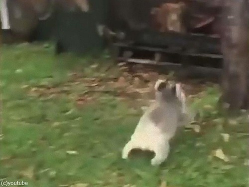 ��ʳ�����֤���󥳥���03