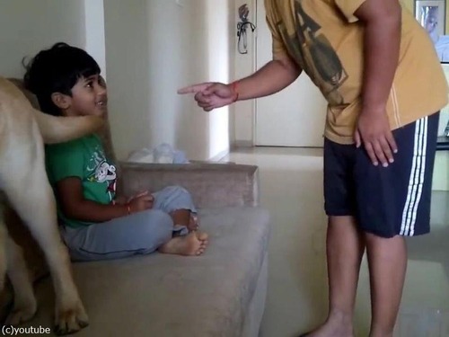 犬が男の子を父から救おうとする01