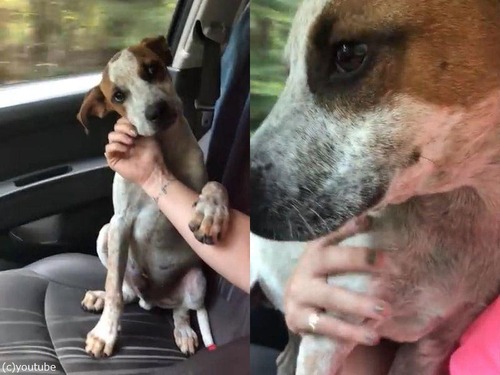 �߽Ф��줿��������������02