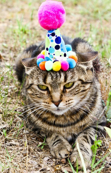 おばあちゃんとスマホ04