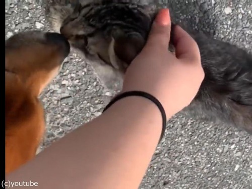 ���Ȼ�����˻�ǭ����Ť��Ƥ���02