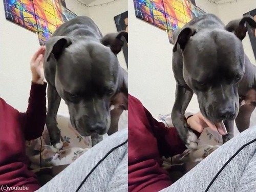 �ʥǤƤȤ��ꤤ���븤01