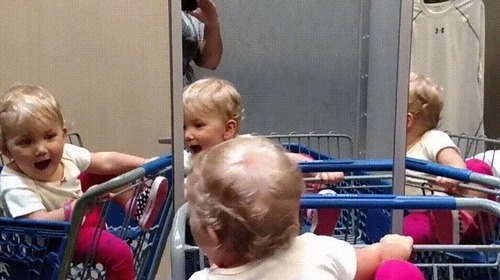 ʣ���ζ��򸫤Ĥ����֤����03