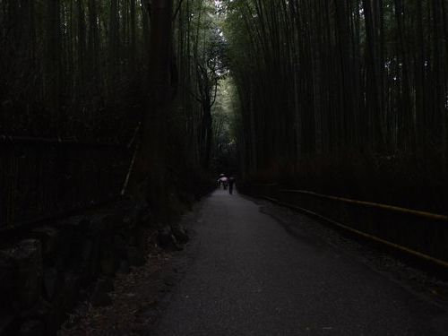 嵐山の竹林03