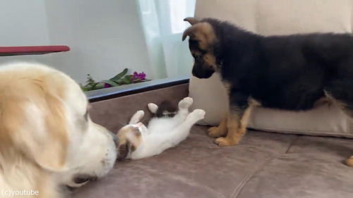 ��ǭ�ȻҸ��ȥ�ȥ�С�02