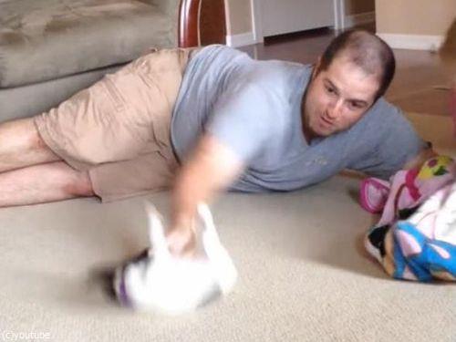 パパと子犬の戦い05