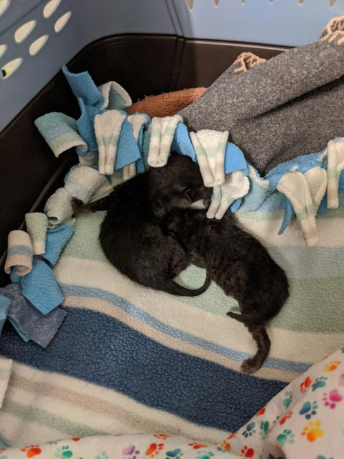 自宅にある珍しいもの06