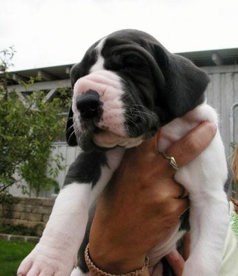 ������Ĺ03