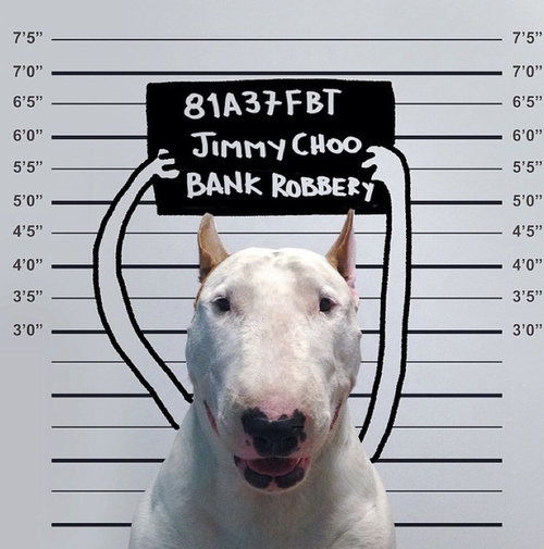 愛犬と10倍楽しむ方法04