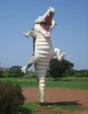 釣られるワニ07