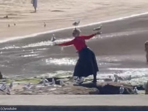 「海鳥と通じ合う心…」浜辺でディズニープリンセスごっこをする女性（動画）