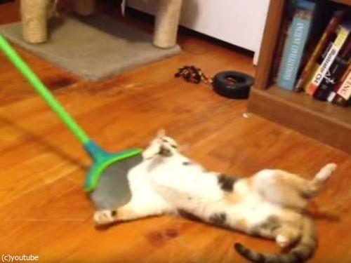 掃かれたい猫03