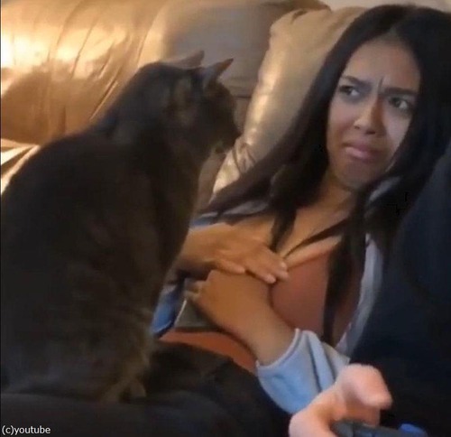 ǭ��ǭ��������ʤ��ͤ򸫤Ĥ���Τ�����03