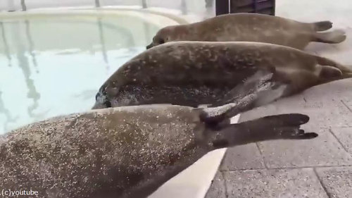 Φ�奢���饷05