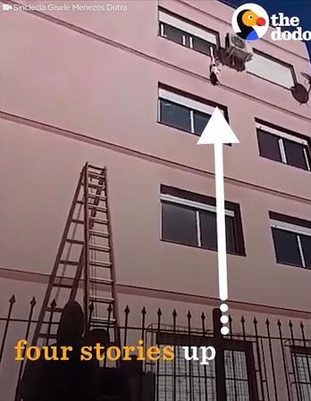 �ӥ�4����ư���ʤ��ʤä�ǭ��߽�01