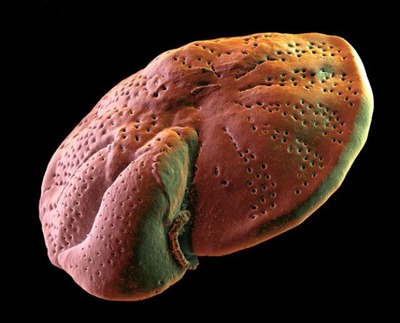 �ŻҸ�����������24