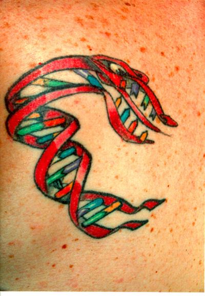 DNA