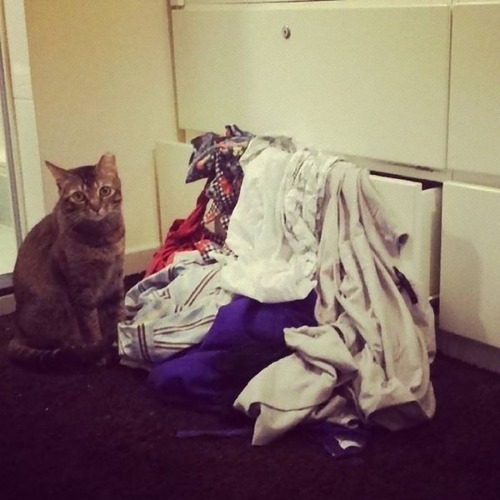 ǭ�����̤����͡�12