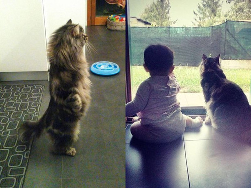 女の子を守る猫00