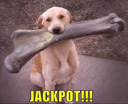 �����򴶤���09