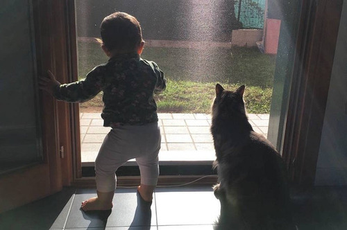 女の子を守る猫07