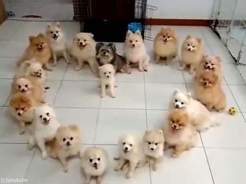 �Ҹ��ǥϡ���01