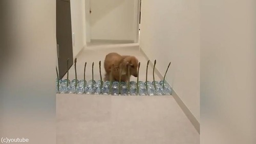 �����ѥ饬��VS��04