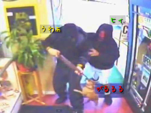 強盗撃退チワワ00