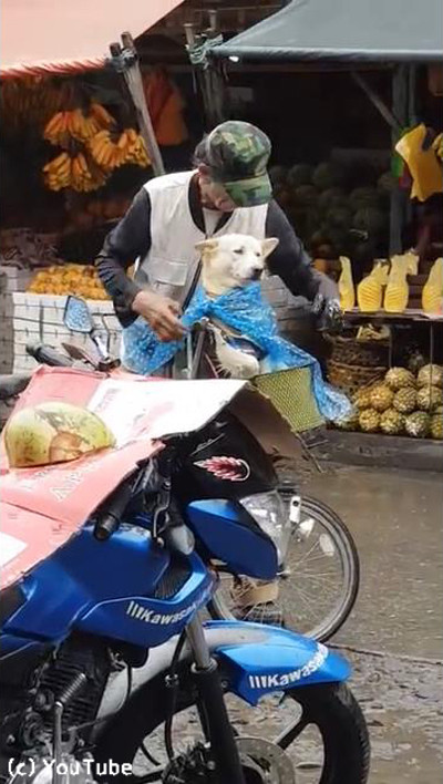 �ߤ���������Ļ����礵�󤬰����ˤȤä���ư�˿����ޤ�01