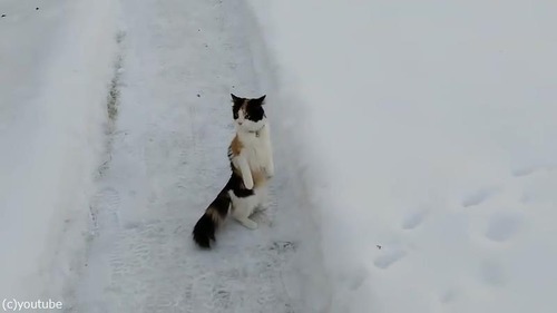 ��ʿ��򸫤�������ǭ��02