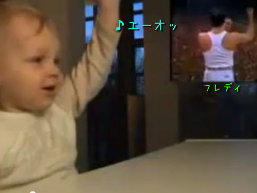 �ե�ǥ����ޡ�����꡼�ˤʤ꤭���֤����