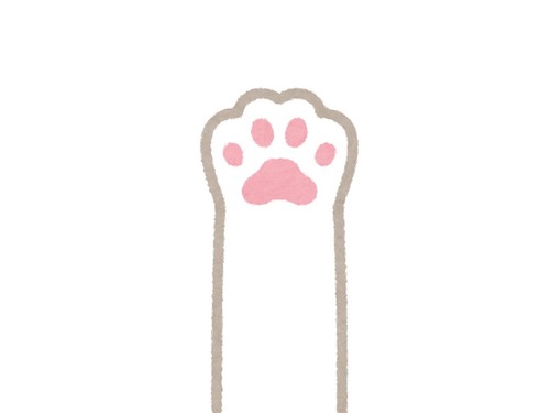 足首に猫