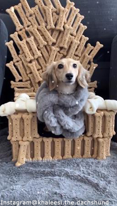 ���줾����ָ��ζˤ�04