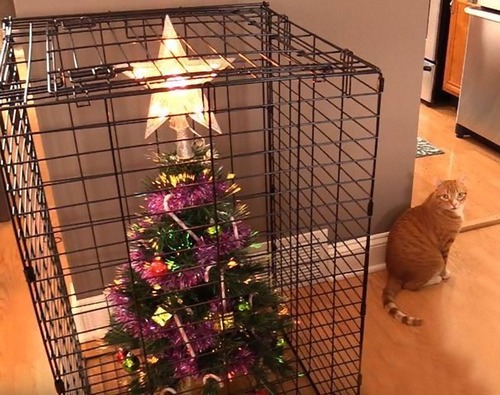 猫のいる家でクリスマスツリー01